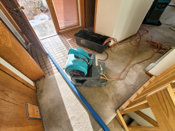 Best Flood restoration services  in Buffalo, WY