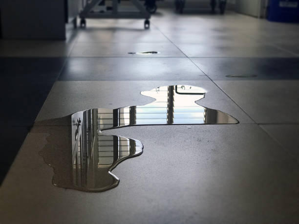 Best 24/7 water damage repair  in Buffalo, WY
