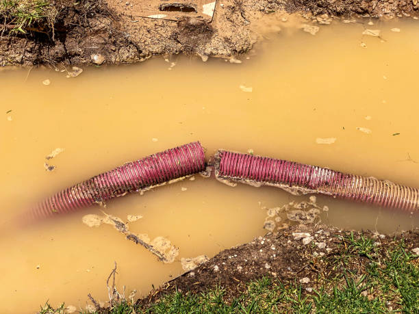 Best Sewage cleanup and water damage restoration  in Buffalo, WY